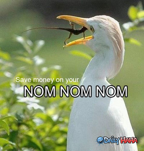 Nom Nommies funny picture